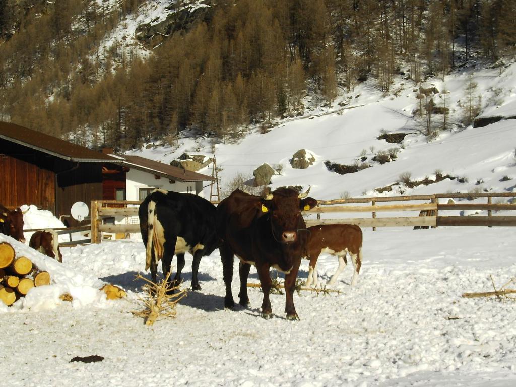 S'Jechlas Sölden Extérieur photo